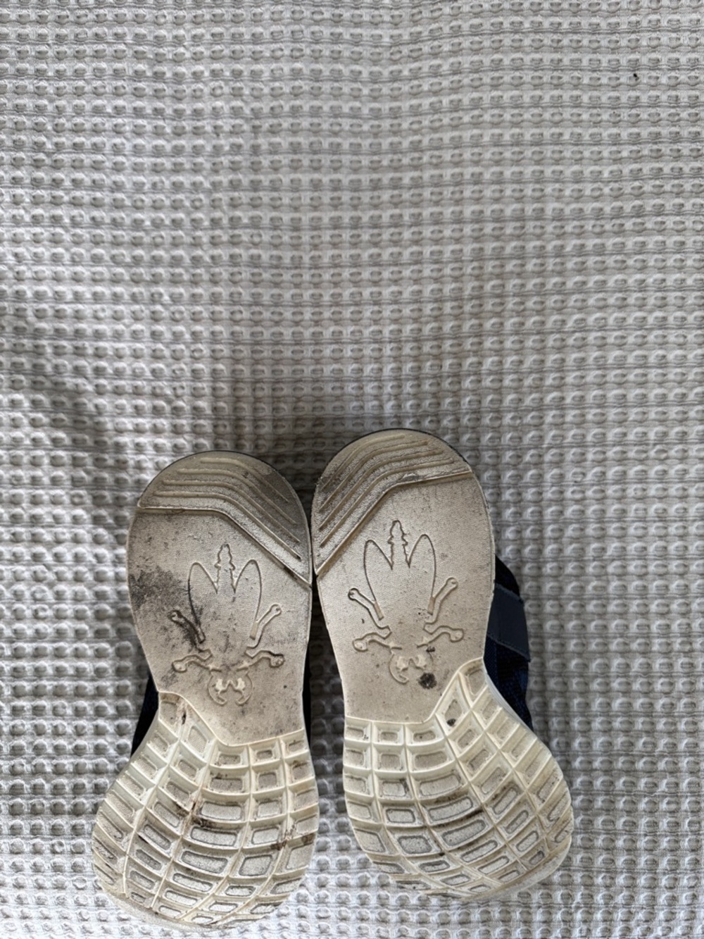 Fly London woman’s Navy and Black Knit Sneaker with Contrast Laces in size 37. - Picture 5 of 5